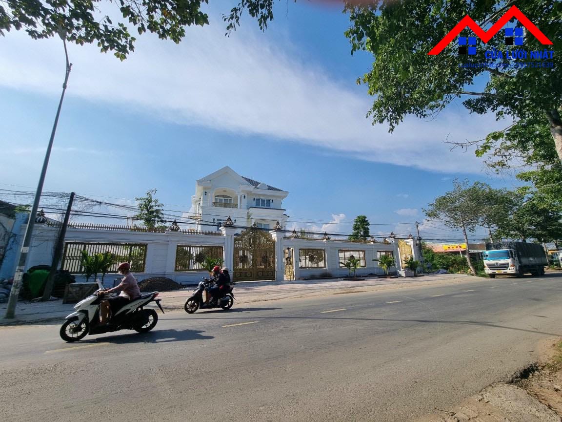 Cửa lưới chống côn trùng Biệt Thự TP .Trà Vinh